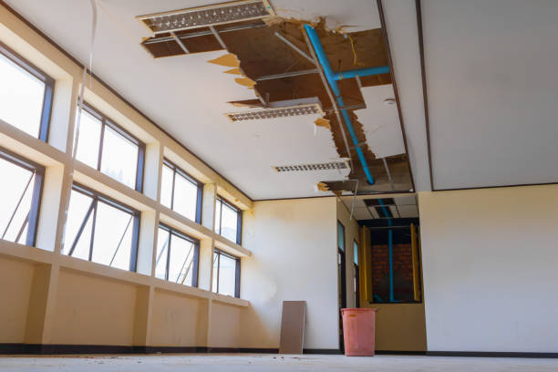 Best Water damage cleanup near me  in Marina, CA