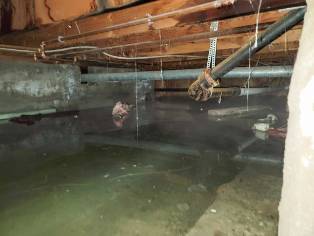 Best Local water damage restoration  in Marina, CA