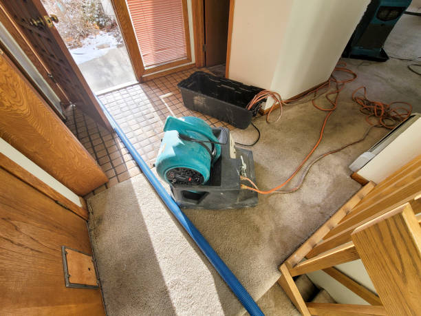 Best Commercial water damage restoration  in Marina, CA