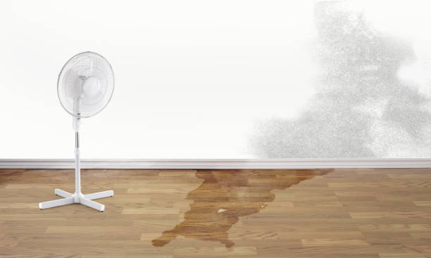 Best Flood restoration services  in Marina, CA
