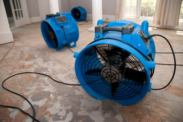 Best Mold removal after water damage  in Marina, CA