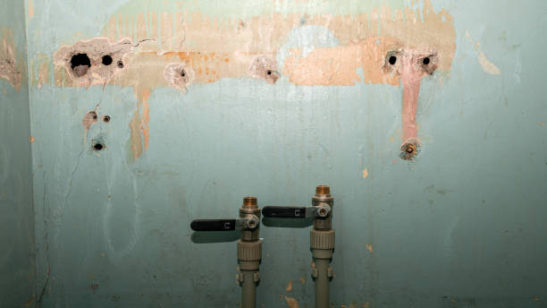 Best Water damage mitigation services  in Marina, CA