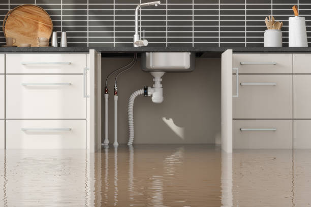 Best Ceiling water damage repair  in Marina, CA