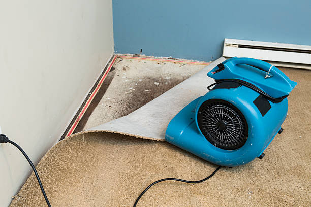 Best Residential water damage restoration  in Marina, CA